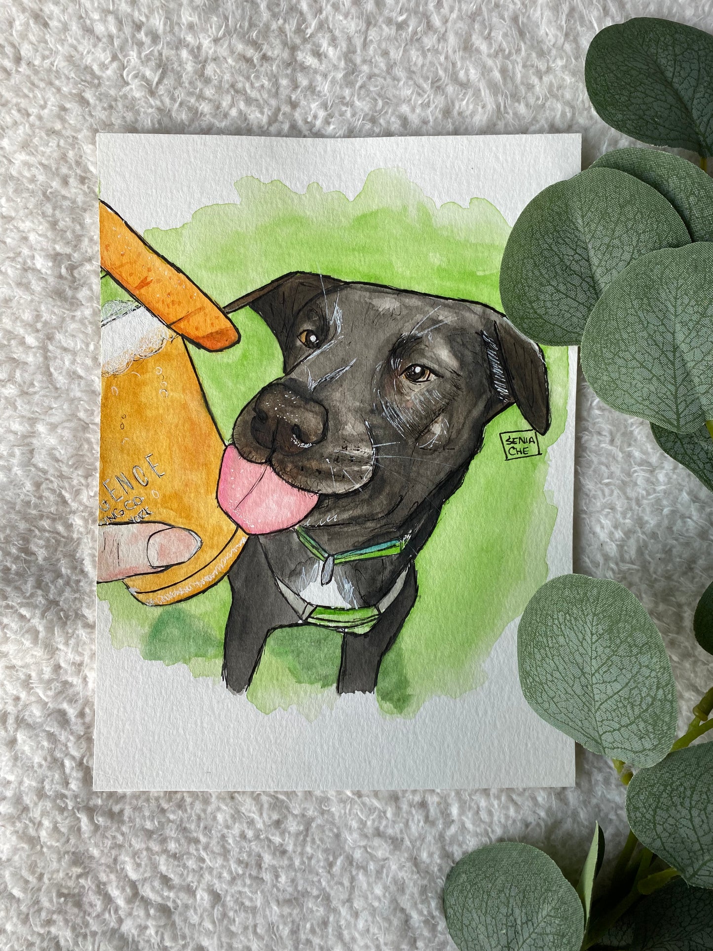 Pet Portrait
