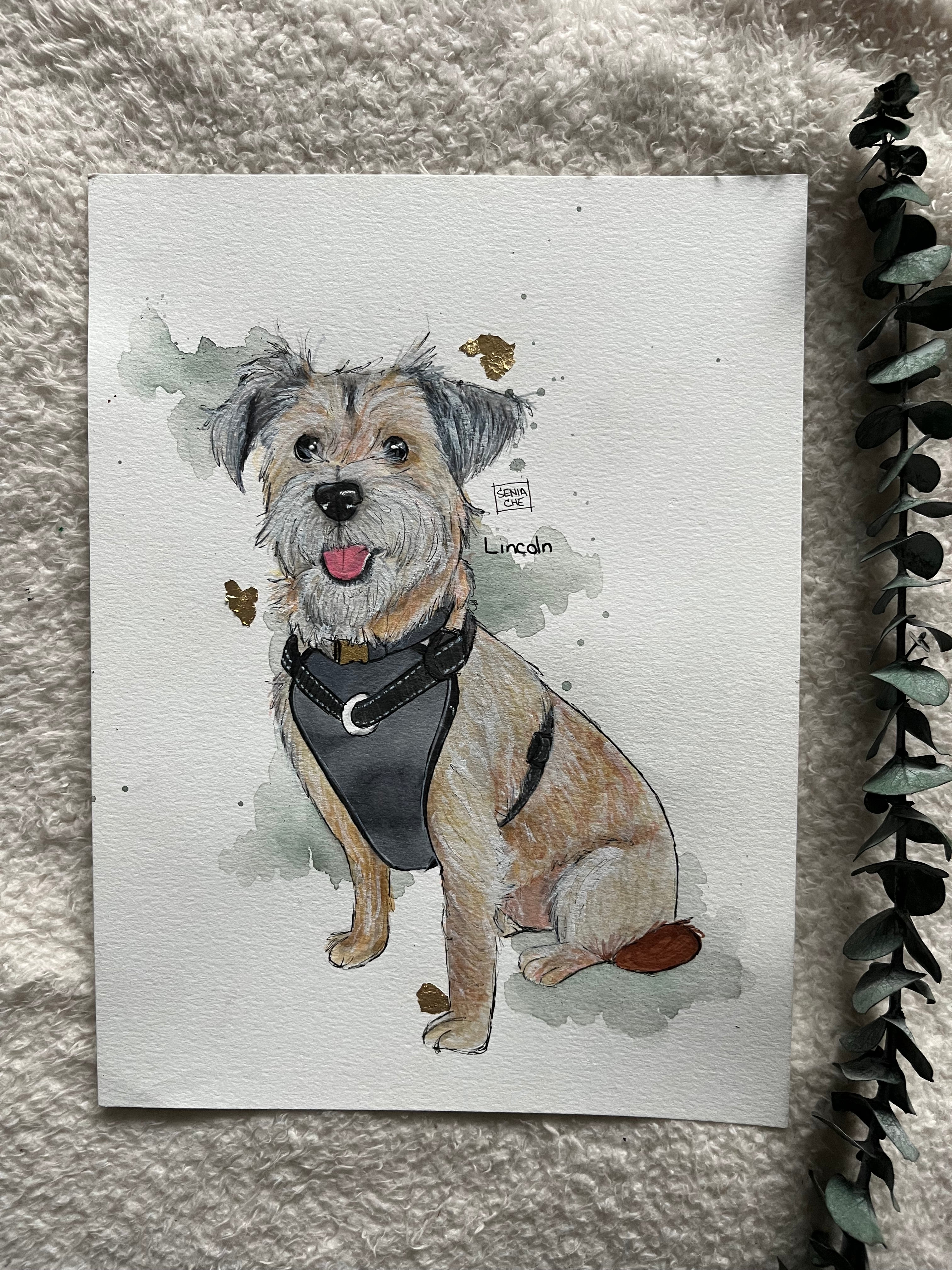 Pet Portrait