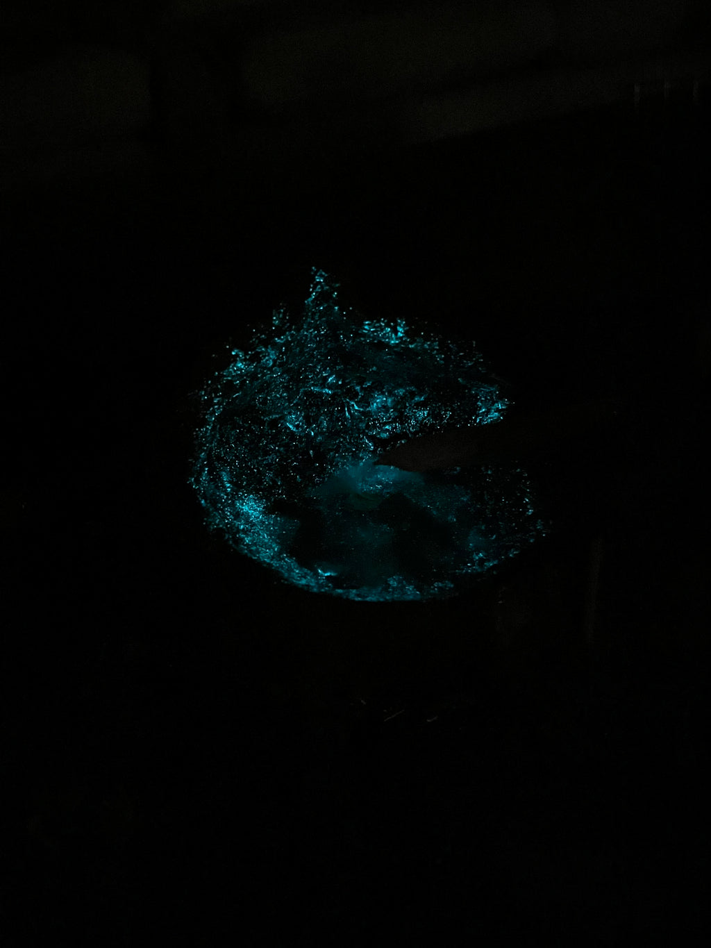 All-In-One ocean Tray