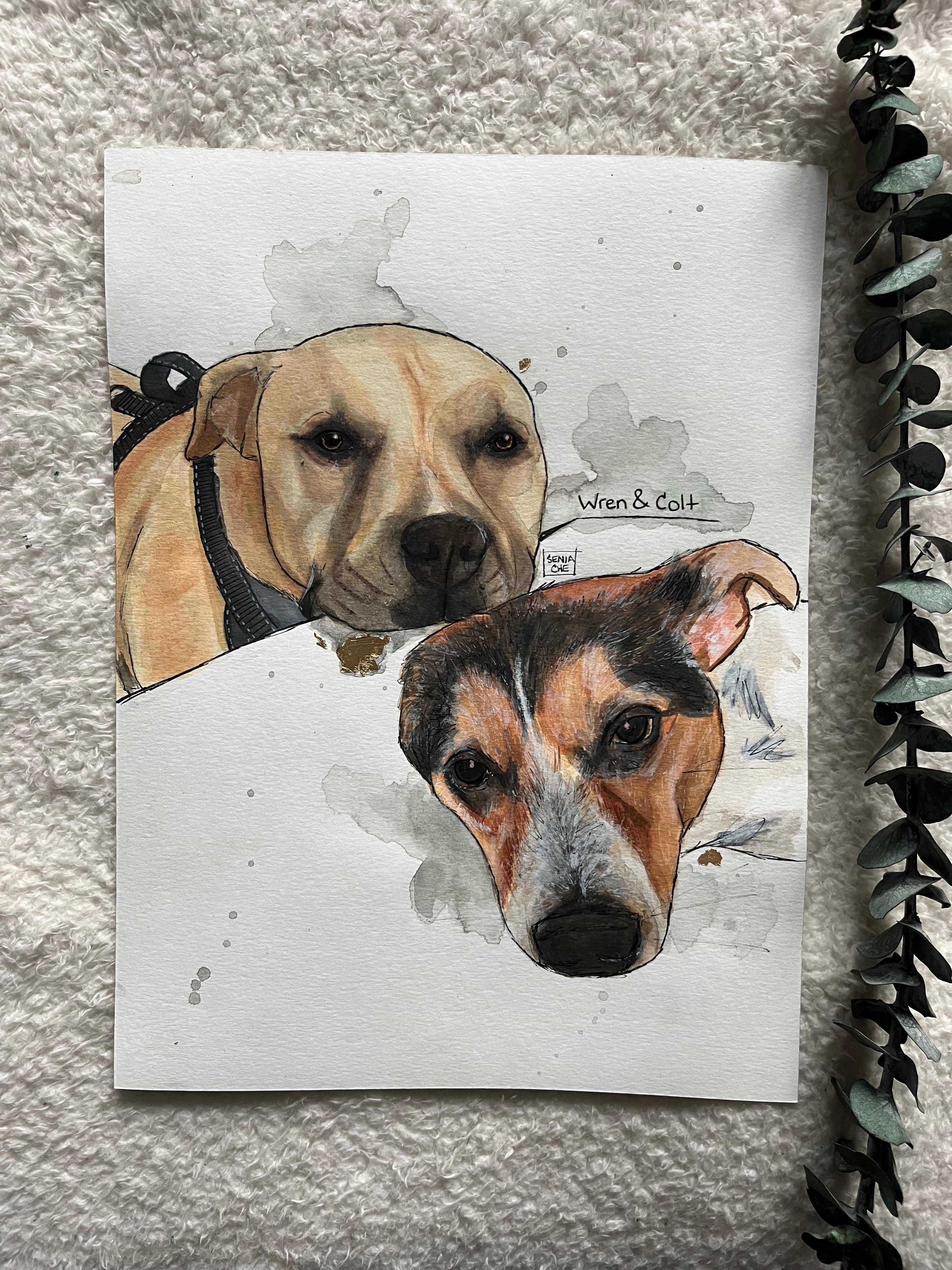 Pet Portrait